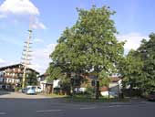 Ortsmitte mit Maibaum